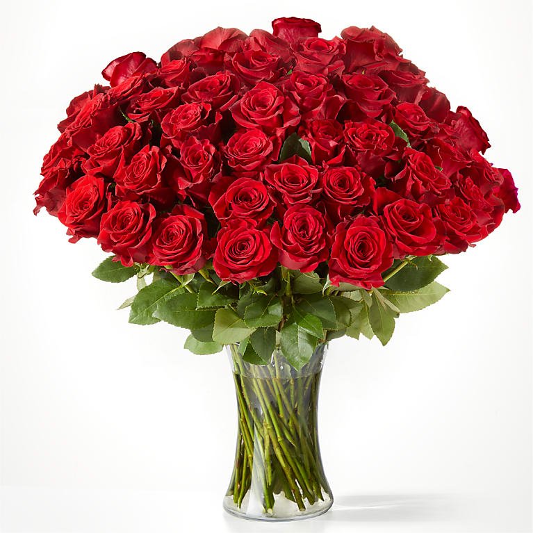 50 langstielige rote Rosen