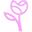 Bloomera logo