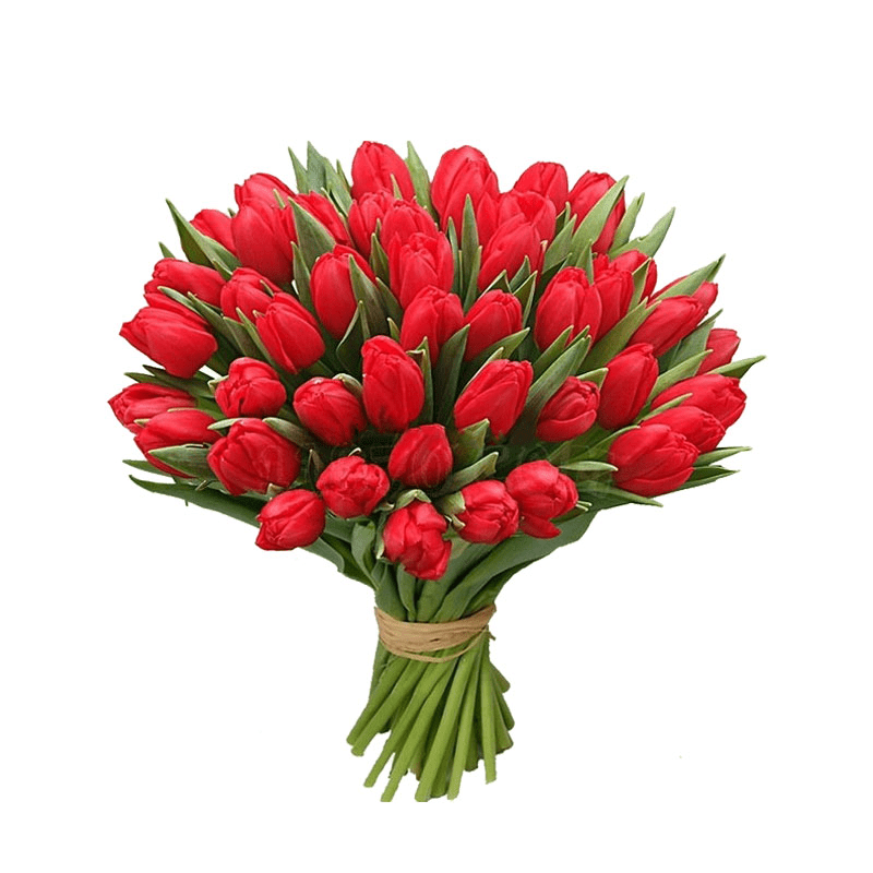 Frische Rote Tulpen,Strauß,Bloomera