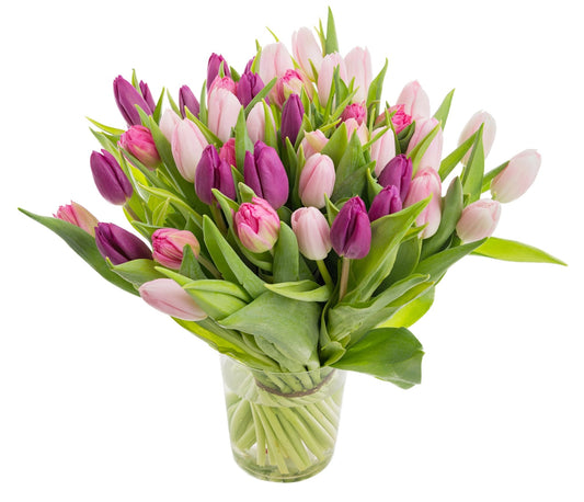 Roser Pinker Tulpenmix,Strauß,Bloomera