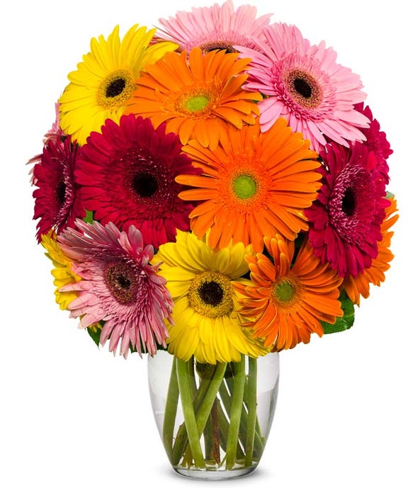 Stunning Gerbera Bouquet,Strauß,Bloomera