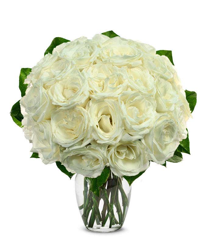 White Roses,,Bloomera