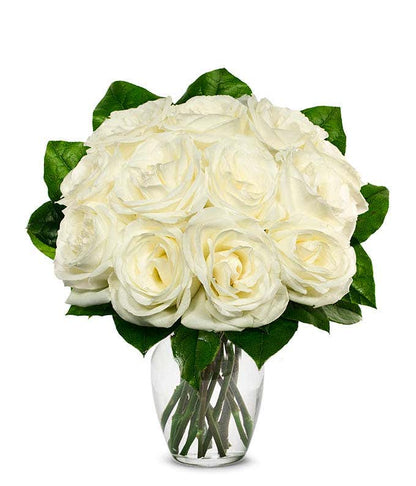 White Roses,,Bloomera